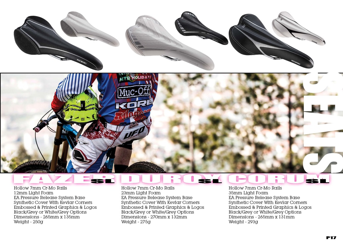 Kore 2015 Final hires Page 17